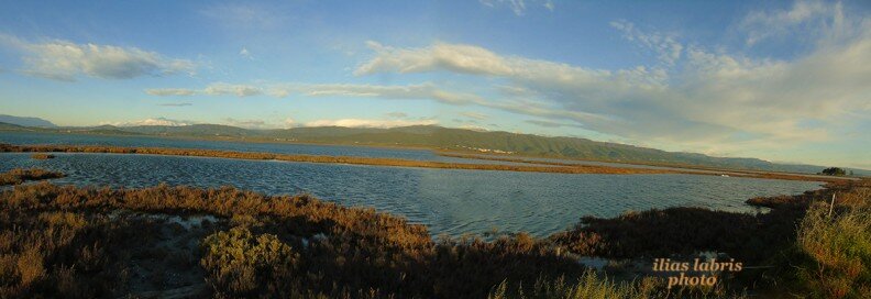 amvrakkos panorama palmatero