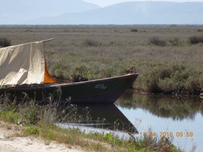 kokkinoskelis se varka
