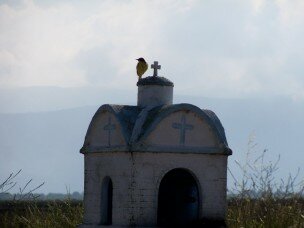 sousourada sto eikonostasi